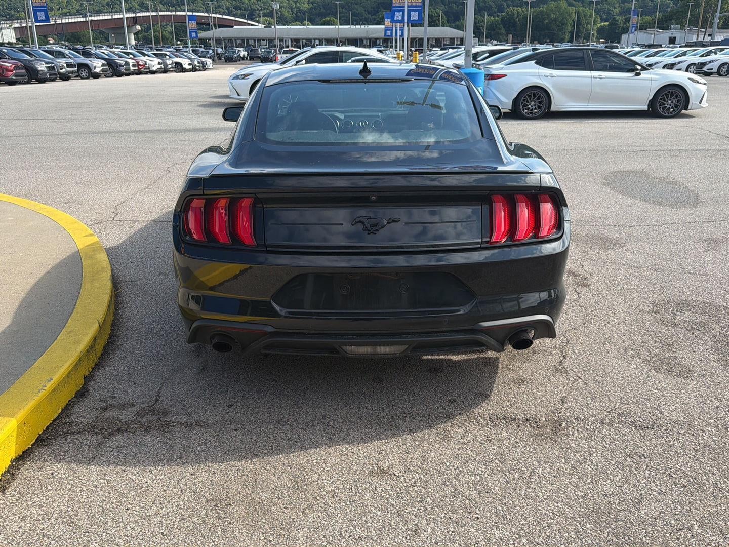 2022 Ford Mustang EcoBoost