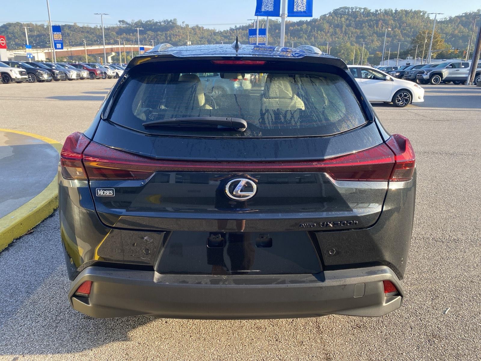 2025 Lexus UX UX 300h Premium