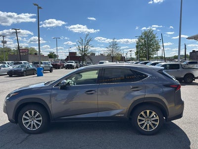 2020 Lexus NX NX 300h