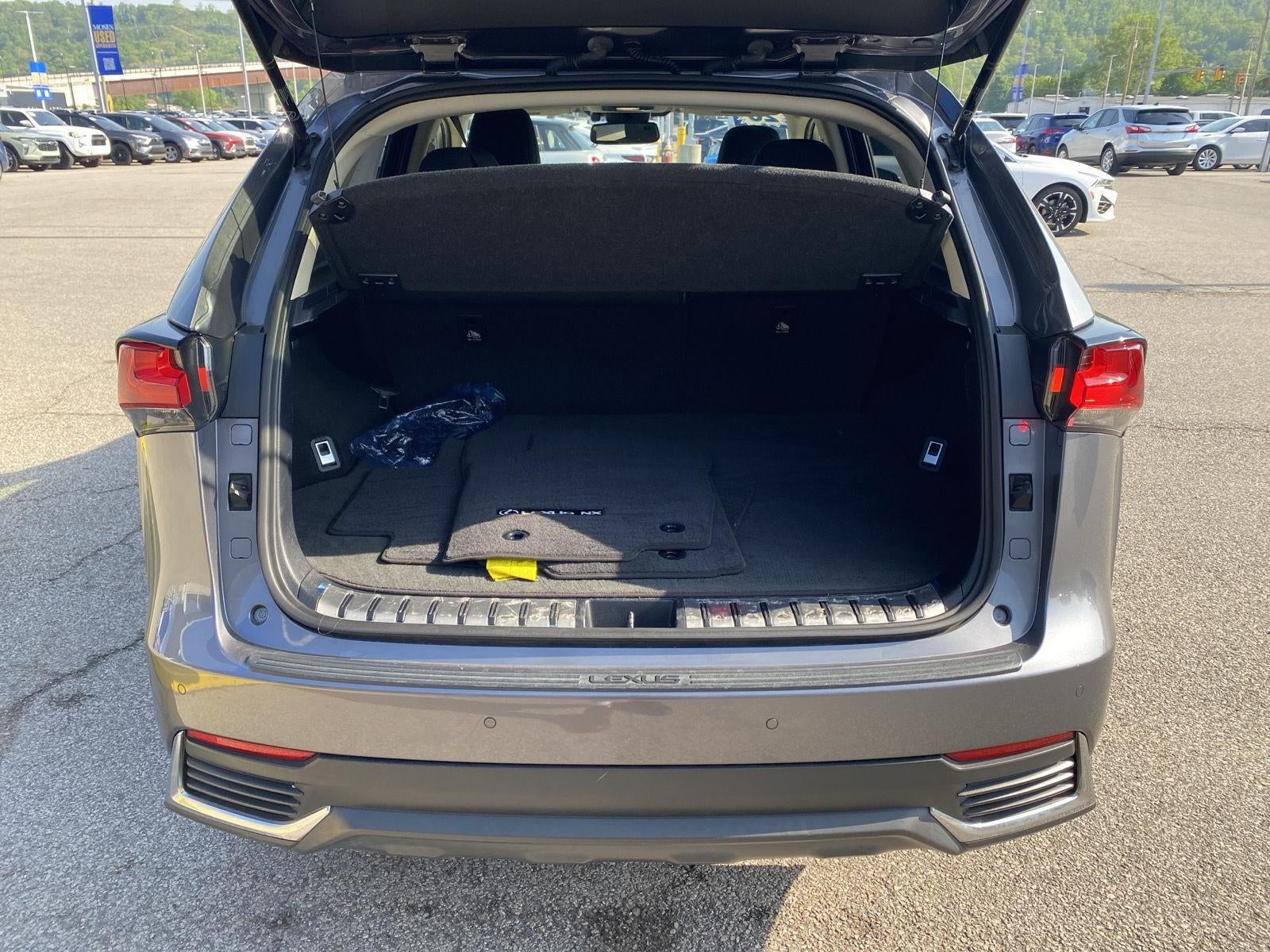 2020 Lexus NX NX 300h